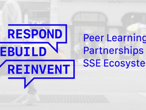 Peer Learning Partnerships on Social Solidarity Economy ecosystems