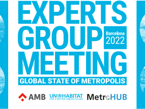 experts-group-meeting